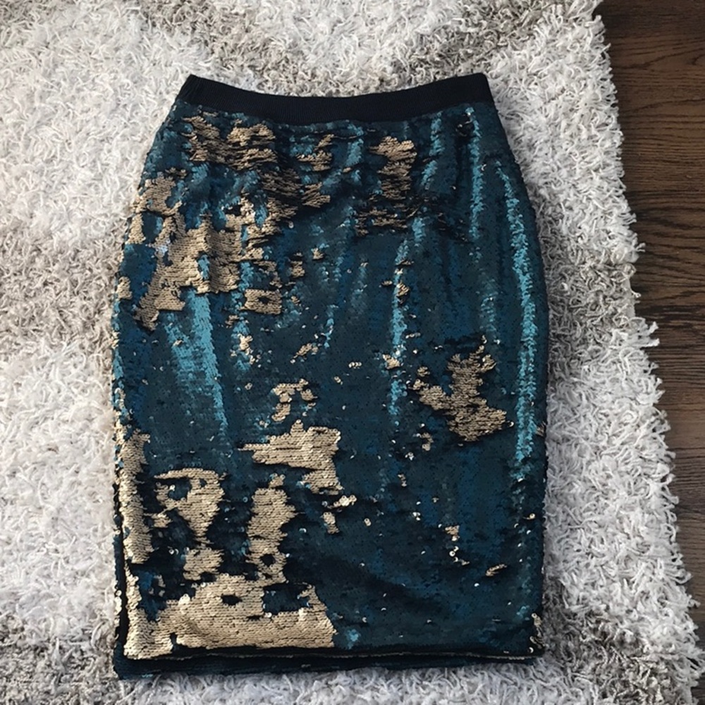 Sequin Skirt